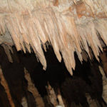 Το άγνωστο και σαγηνευτικό σπήλαιο του Βάτου Ξηρομέρου