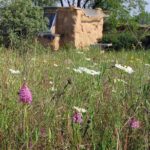 “Καλό απόγευμα με κωνσταντινάτα από τη Κανδήλα”