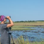 Καταμετρήσεις υδρόβιων πουλιών σε υγροτόπους της Αιτωλοακαρνανίας