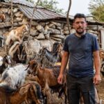 Χρήστος Τσιαμπόκαλος: Εγκατέλειψε την Αθήνα για να γίνει κτηνοτρόφος στο χωριό