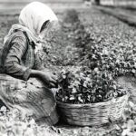 Το βιβλίο «Οι αγρότες στην ελληνική ιστορία» παρουσιάζεται στο Αγρίνιο