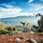 Δεν θα ξεριζωθούμε από τη γη μας