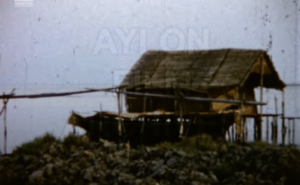 Ένα σπάνιο φιλμ από τη λιμνοθάλασσα Μεσολογγίου του 1964 (vid)