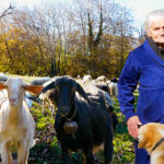 Η γιαγιά Ρόϊδω και το Κοπάδι της: Η 84χρονη βοσκός που δεν παραιτείται ποτέ (vid)