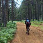 Οι κορυφαίες δραστηριότητες στο χειμερινό Μεσολόγγι