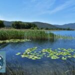 Το μεγάλο «ΟΧΙ» της Δασικής υπηρεσίας για την Τριχωνίδα