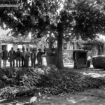 Ο Διόνυσος, ο βασιληάς της Αιτωλίας Οινέας, η άμπελος και ο οίνος