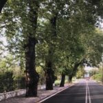 Έρχονται σημαντικά έργα και στοχευμένες παρεμβάσεις συνολικά 100.000€ στη Γουριά