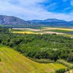 Η Διανομή του Κτήματος Λεσινίου: Μια παρέμβαση-τομή για την ύπαιθρο και την Αιτωλοακαρνανία