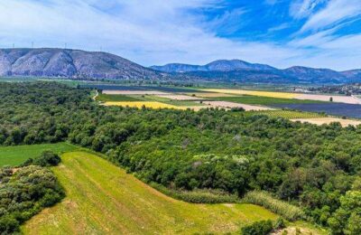 Η Διανομή του Κτήματος Λεσινίου: Μια παρέμβαση-τομή για την ύπαιθρο και την Αιτωλοακαρνανία