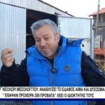 Ραγίζουν καρδιές οι κτηνοτρόφοι στη Μαγούλα Νεοχωρίου – Ξεκλήρισμα και ανησυχία για υγειονομική βόμβα  (vid)