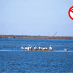 Ανησυχία από τις ανεξέλεγκτες πτήσεις drone στο Εθνικό Πάρκο Λιμνοθαλασσών Μεσολογγίου – Αιτωλικού