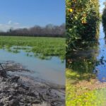 Τεράστιες καταστροφές από την υπερχείλιση του Αχελώου – Αγώνας επιβίωσης από τους απροστάτευτους καλλιεργητές Νεοχωρίου και Κατοχής