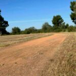 Oiniades Running Team: Δυναμική επανεκκίνηση με επίκεντρο τον στίβο και την αναβάθμιση του σταδίου Νεοχωρίου