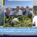 Σε απόγνωση οι καρπουζοπαραγωγοί του Νεοχωρίου – Χωρίς νερό οι καλλιέργειες (vid)