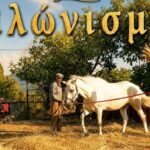 Το παραδοσιακό αλώνισμα «ζωντανεύει» στο Πετροχώρι Τριχωνίδας