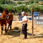 Το αλώνισμα με άλογα ζωντάνεψε ξανά στο Τρίκορφο Ναυπακτίας (vid)
