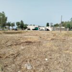 Στην Εισαγγελία η υπόθεση της κοπής των δέντρων στο Μεσολόγγι